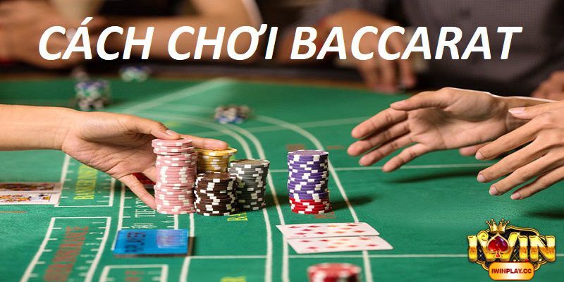 Lựa chọn sân chơi Baccarat